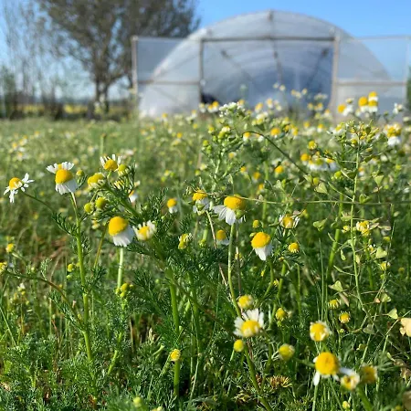 Rumika Ecocenter מלון